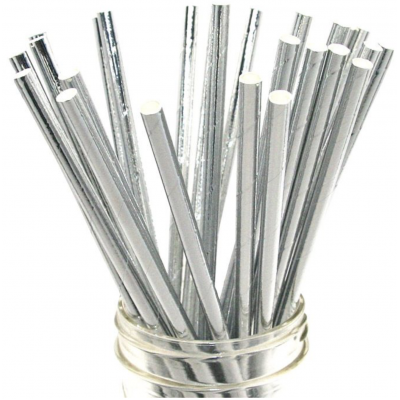 Paper Straws - Metallic Silver 12pack